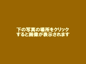 Xʐ^